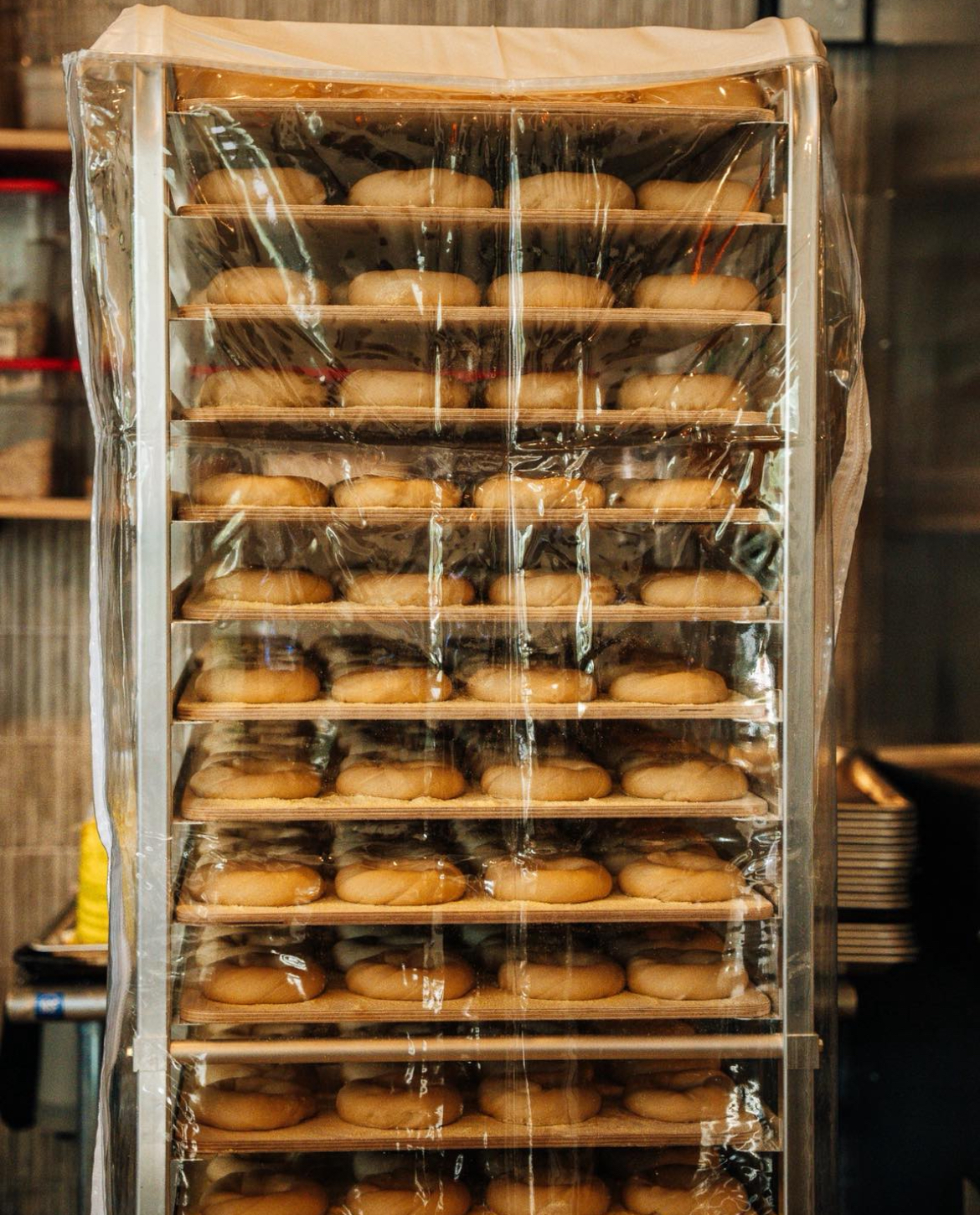Fresh bagels rising on wooden racks